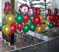 Balloon Modeller Limerick